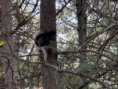-帽儿山国家森林公园