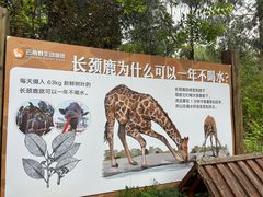 -云南野生动物园