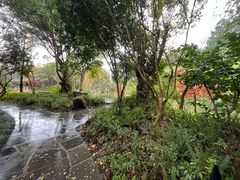 -和顺柏联温泉