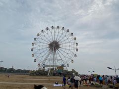 -奉贤海滩