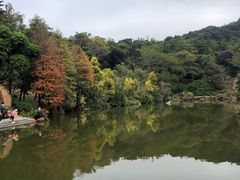 -云溪植物园