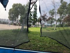 -洋湖国家湿地公园