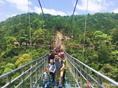 -九龙江国家森林公园