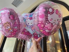 -安吉Hello Kitty乐园