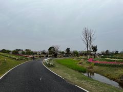 -径山花海