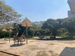 -深圳野生动物园