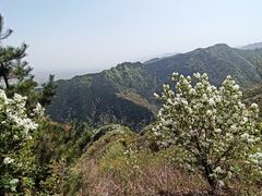 -秦岭风景区