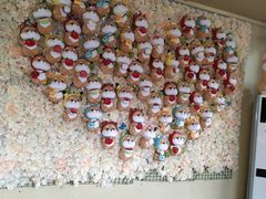 用餐区-柴犬高等学院·狗咖·柴犬售卖·宠物训练