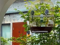 -百花深处胡同
