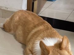 -萨莉亚意式餐厅(天河城购物中心店)