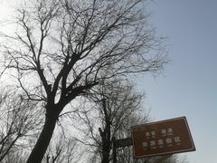 -鹦鹉寺公园