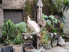 -渝半城经典川粤菜(重庆天地店)