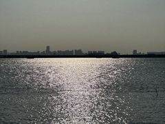-芒洲湿地公园