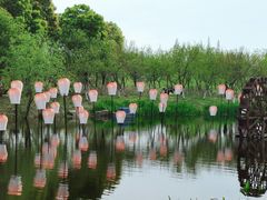 -长田漾湿地公园