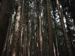 -山王坪喀斯特国家生态公园