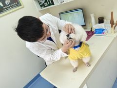 -全心全意动物诊疗中心医院(北苑店)