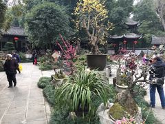 -星伦多自助料理(花山金鹰店)