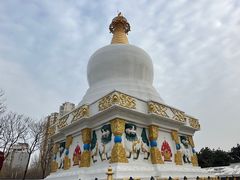 -护国法轮寺
