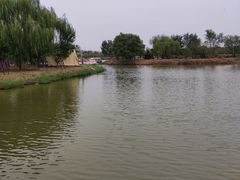 -西青郊野公园