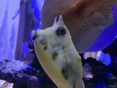 -欢乐海岸海洋奇梦馆