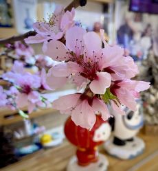 -今日陶艺(富力广场店)