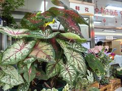 -和平门菜市场