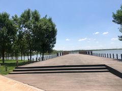 -武清南湖绿博园