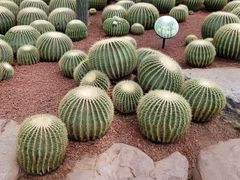 -南通洲际绿博园