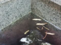 -江南天池高山汤泉城