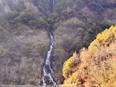 -磐安舞龙峡景区