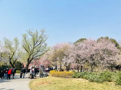 -香山公园
