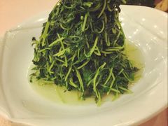 -昌正春天酒店-海鲜餐厅