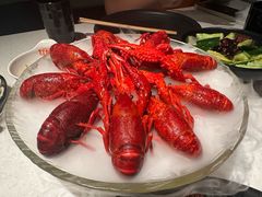 -红盔甲·小龙虾(天钥桥店)