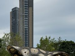 -SAANCI山池咖啡(海上世界文化艺术中心店)