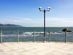 -棕榈滩海景高尔夫俱乐部