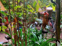 -呀路古热带植物园