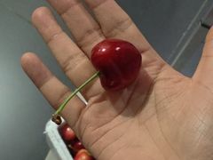 -红樱桃·欢乐餐厅(太原里店)