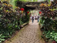 -海南热带野生动植物园