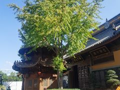 -西林禅寺