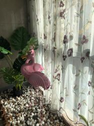 -玛丽亚妇产医院产后修复·医美产康中心