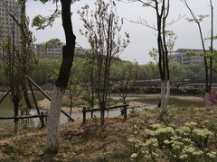 -大连外国语大学(旅顺校区)