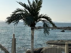 -Vanillacafe香草咖啡(银海大世界店)