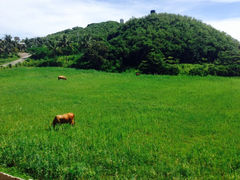iphone_upload_pic-台东富丽湾景观民宿