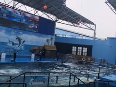 -石林冰雪海洋世界