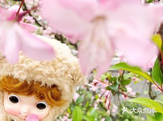 【春天，一起去看花花吧！】