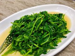 -毛草房(南辛庄街店)