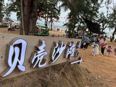 -贝壳沙滩