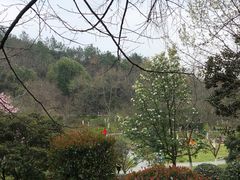 -峙山公园