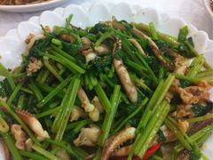 麦芹炒鱿鱼须-潮汕铺老店(甜水井店)