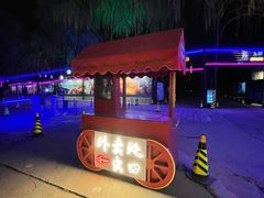 -枫花园汽车电影院(朝阳公园店)
